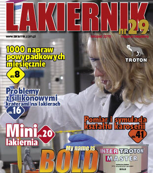Lakiernik 29
