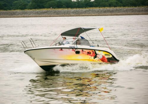 Jak to z flamingami było Jak to z flamingami było