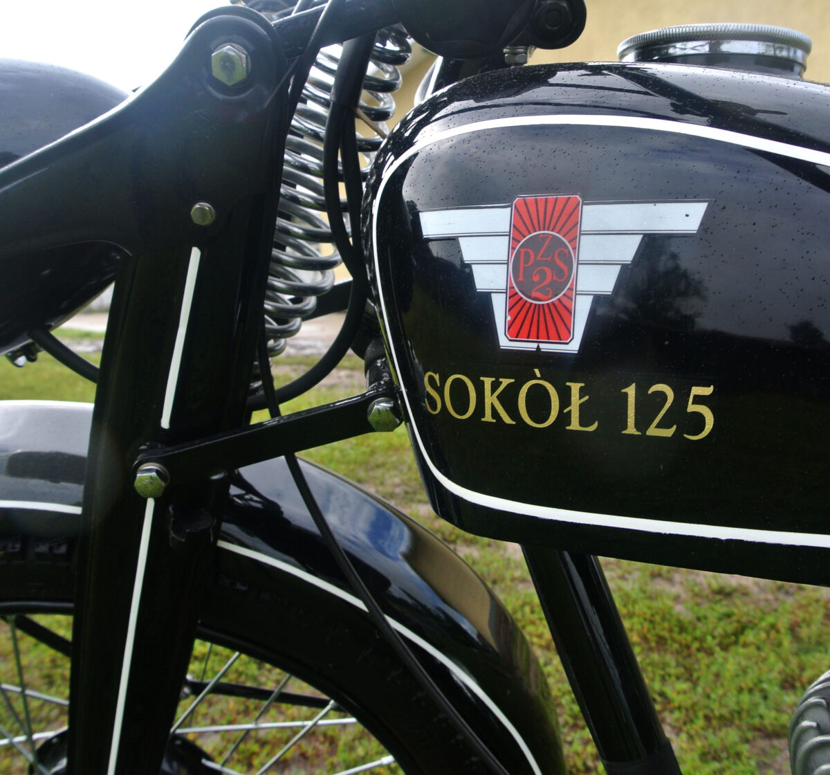 Najmniejszy z Sokołów Najmniejszy z Sokołów