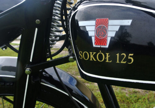 Najmniejszy z Sokołów Najmniejszy z Sokołów