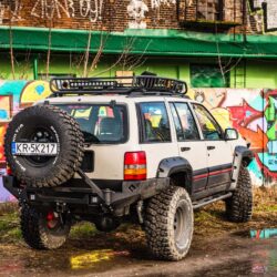 fot Pawel Szczecinski www vivesa pl