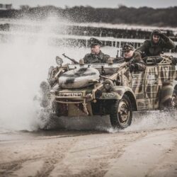 Wielka bitwa na plazy