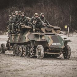 Wielka bitwa na plazy