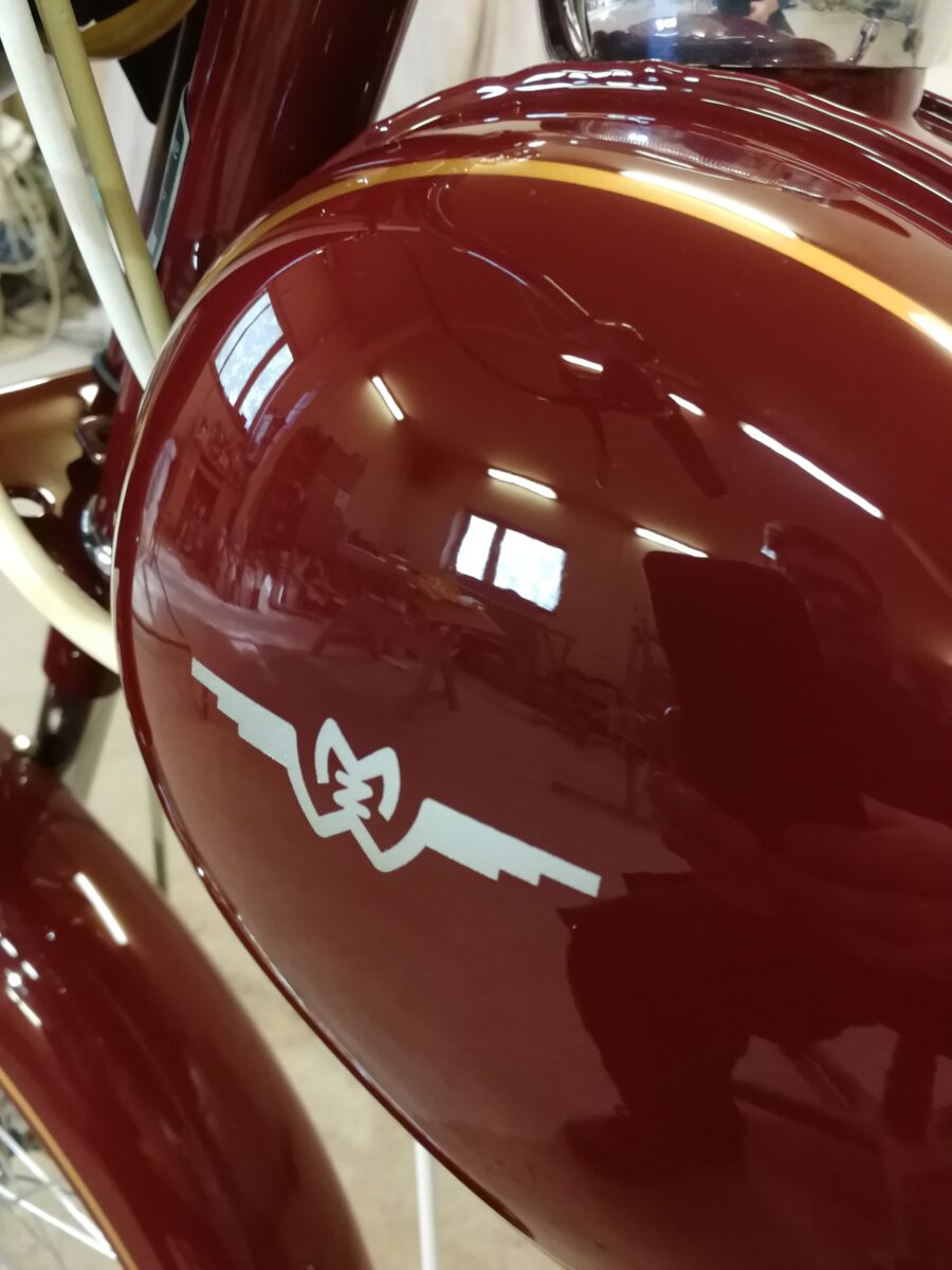 Żak po profesorsku Żak po profesorsku