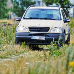 Rangers jak wisienka