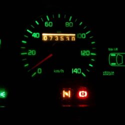 Drugie zycie Eleganta