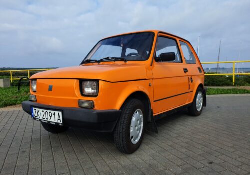 Drugie życie Eleganta