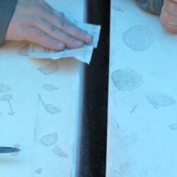 Naprawa skutkow osmozy