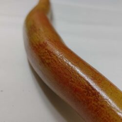 Specjalista od efektow specjalnych