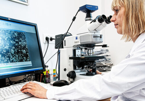 Jakim testom poddaje się w przemyśle motoryzacyjnym powłoki lakierowe ? Jakim testom poddaje się w przemyśle motoryzacyjnym powłoki lakierowe ?