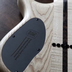 Brzmienie i lsnienie czyli BRAYT