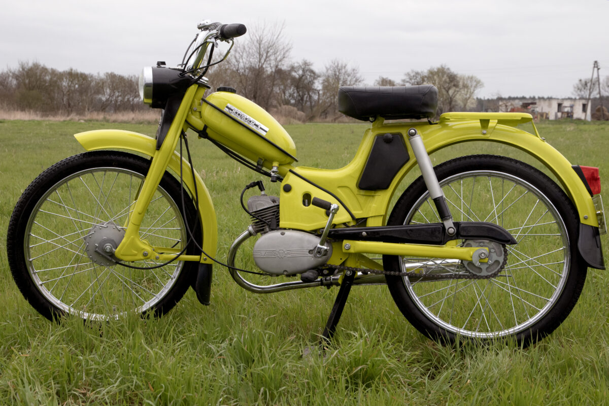 Żółte bzzz…..czyli historia pewnego Komara Żółte bzzz…..czyli historia pewnego Komara