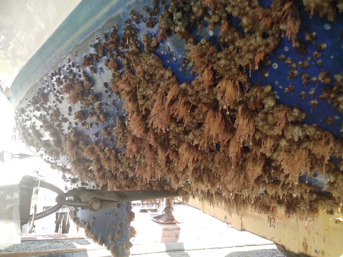 Zabezpieczenie antyporostowe łodzi z laminatu