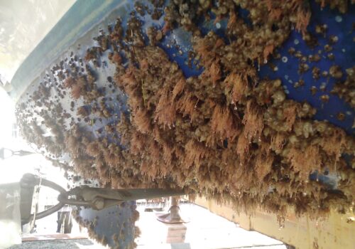 Zabezpieczenie antyporostowe łodzi z laminatu