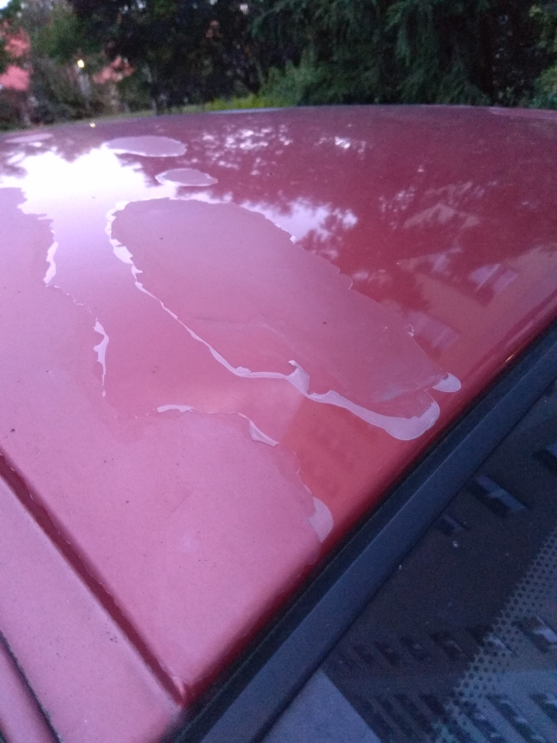 LiszajeIMG LiszajeIMG