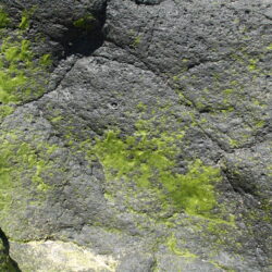 FELGI Flinstonow kamien